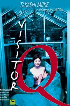 Affiche du film Visitor q