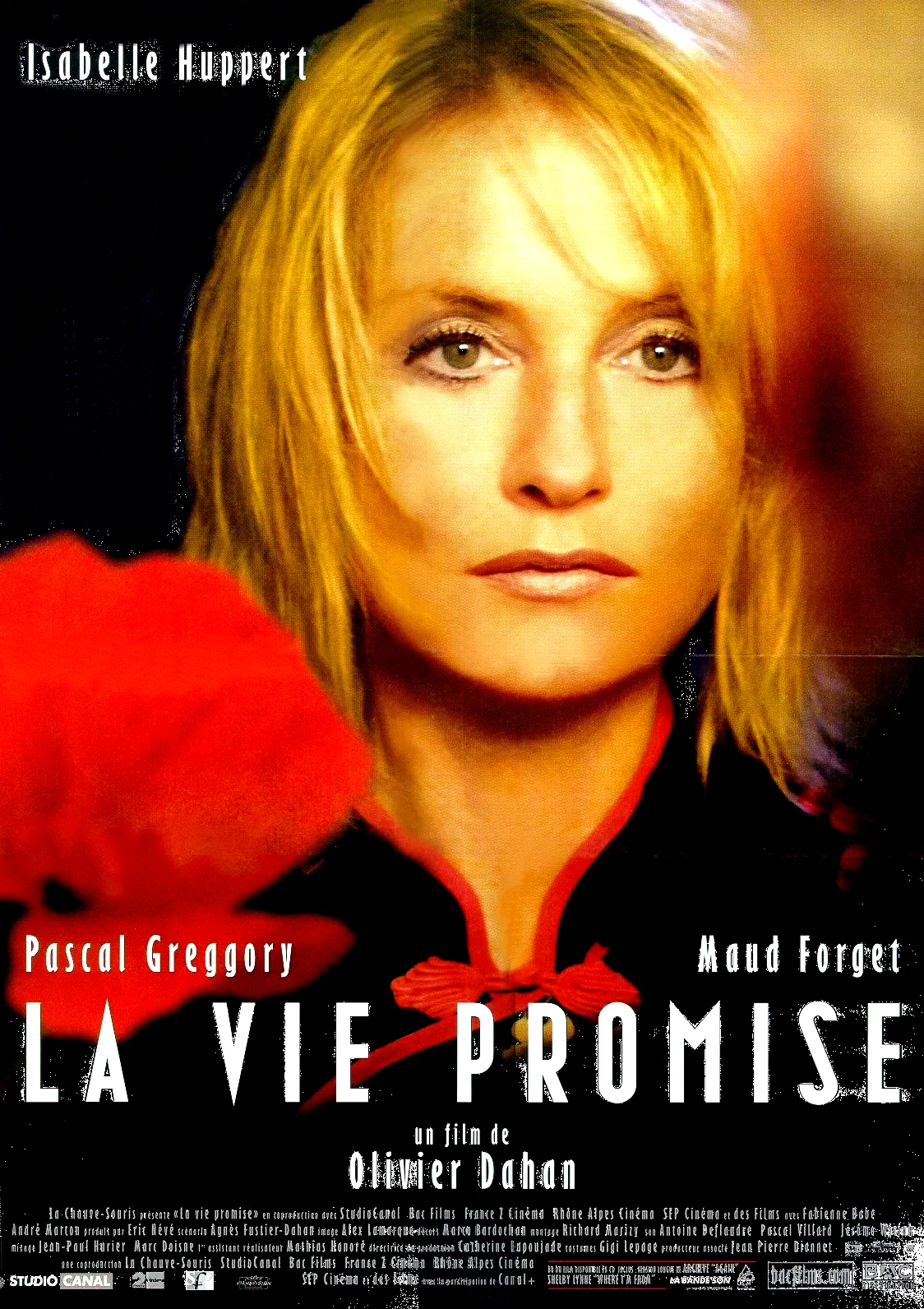 Affiche du film : La vie promise
