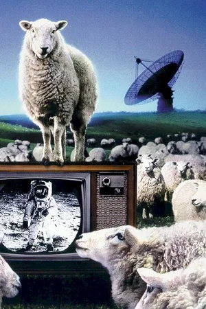 Affiche du film : The dish
