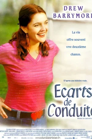 Affiche du film : Ecarts de conduite