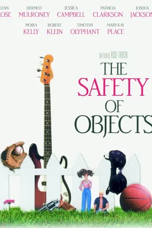 Affiche du film : The safety of objects