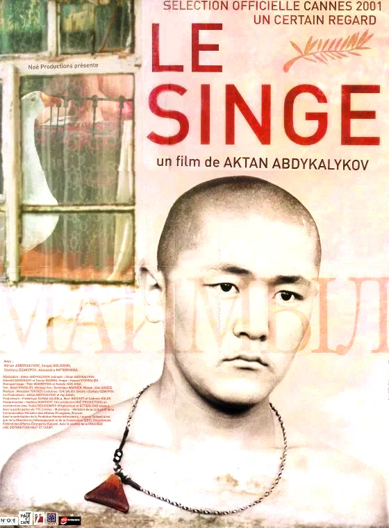 Affiche du film : Le singe