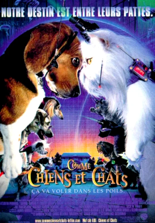 Affiche du film : Comme chiens et chats