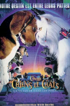 Affiche du film Comme chiens et chats