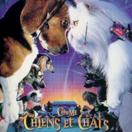 Miniature photo du film : Comme chiens et chats
