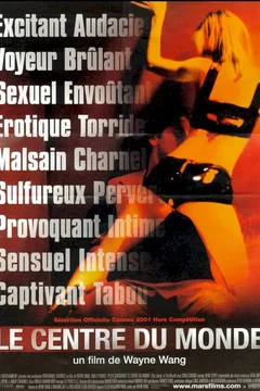 Affiche du film Le centre du monde