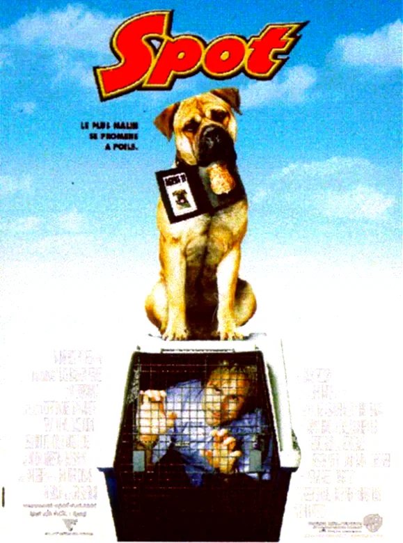 Affiche du film : Spot