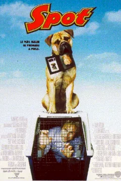 Affiche du film Spot