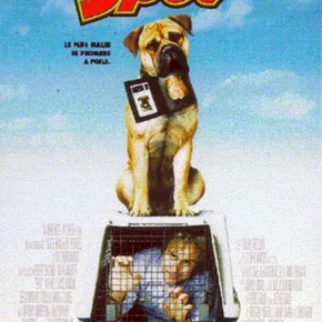 Photo du film : Spot