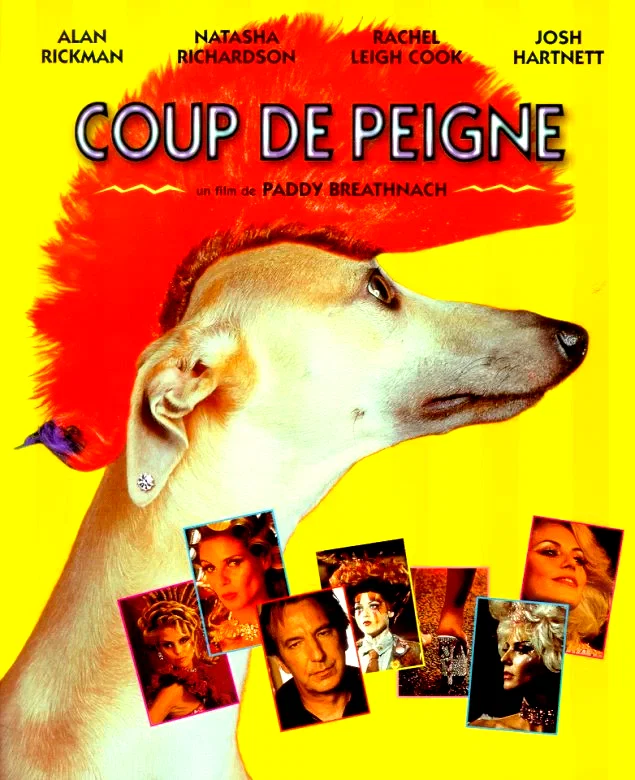Affiche du film : Coup de peigne