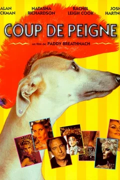Affiche du film Coup de peigne