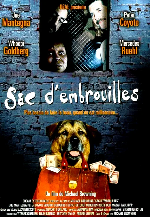 Affiche du film : Sac d'embrouilles