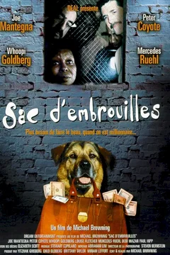 Affiche du film Sac d'embrouilles