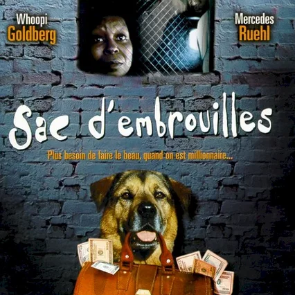 Miniature photo du film : Sac d'embrouilles