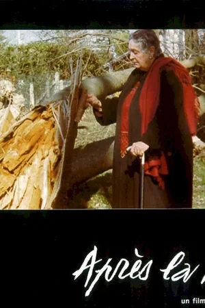 Affiche du film : Apres la tempête