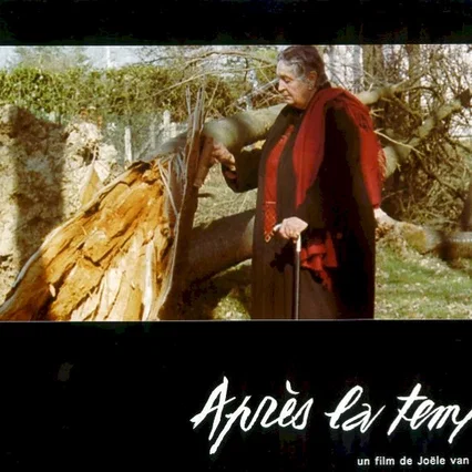 Miniature photo du film : Apres la tempête