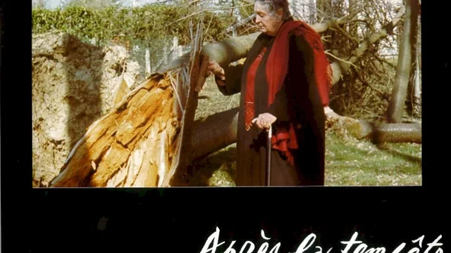 Affiche du film : Apres la tempête