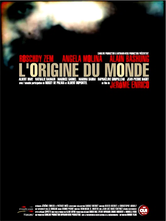 Affiche du film : L'origine du monde