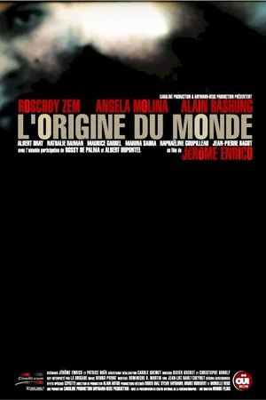 Affiche du film : L'origine du monde