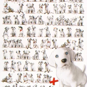 Photo du film : 102 dalmatiens