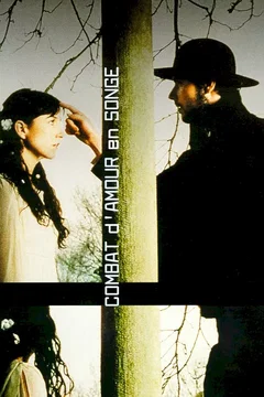 Affiche du film Combat d'amour en songe