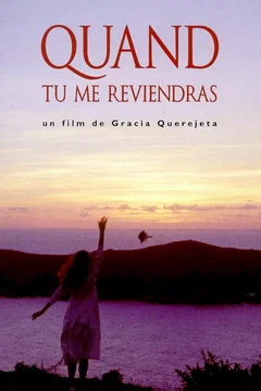 Affiche du film Quand tu me reviendras