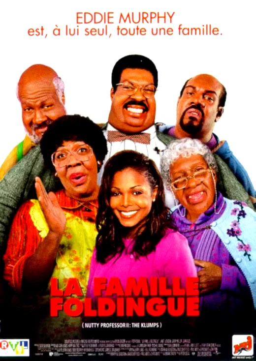 Affiche du film : La famille foldingue