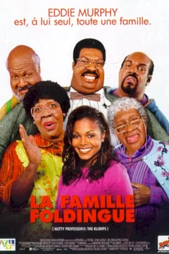 Affiche du film La famille foldingue
