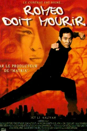Affiche du film : Romeo doit mourir
