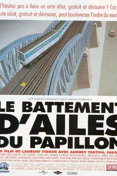 Affiche du film Le battement d'ailes du papillon