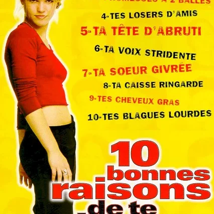Miniature photo du film : 10 bonnes raisons de te larguer