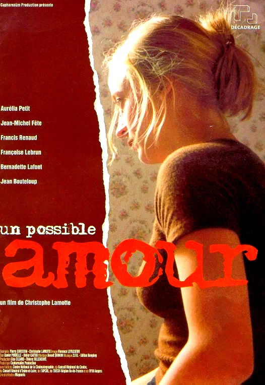 Affiche du film : Un possible amour