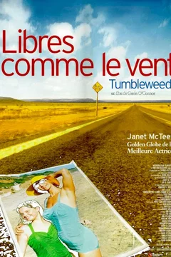 Affiche du film Libres comme le vent