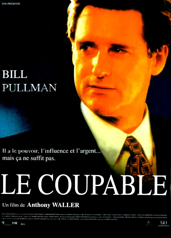 Affiche du film : Le coupable