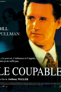 Affiche du film Le coupable