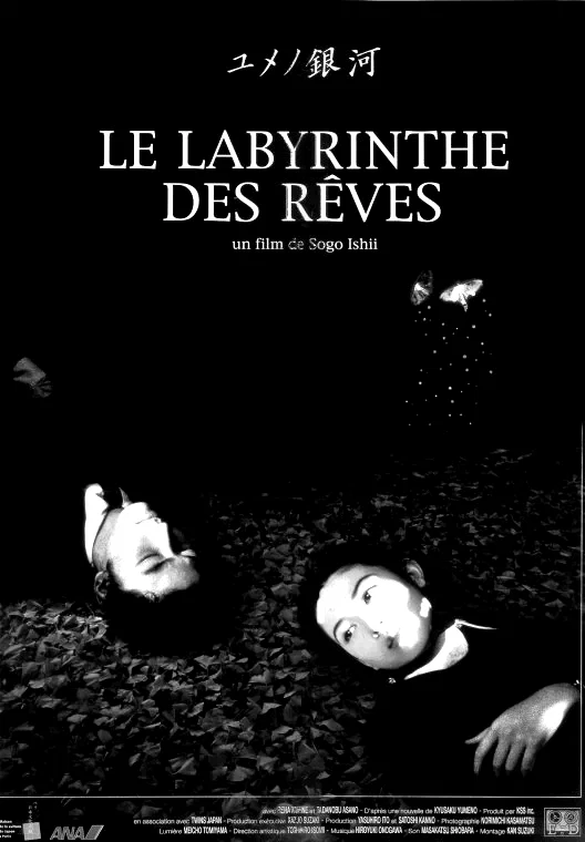 Affiche du film : Le labyrinthe des reves