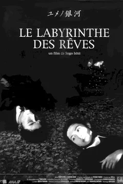 Affiche du film = Le labyrinthe des reves