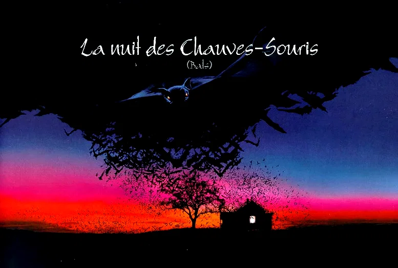 Affiche du film : La nuit des chauves-souris