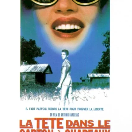 Miniature photo du film : La tete dans le carton a chapeaux