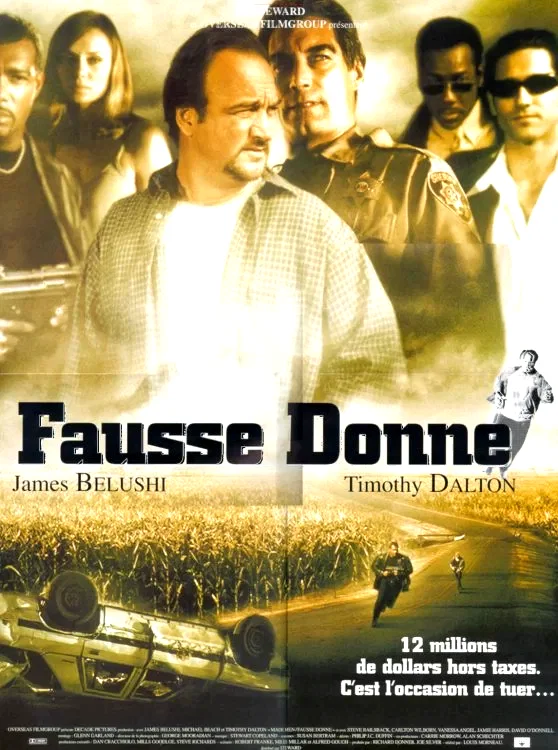 Affiche du film : Fausse donne