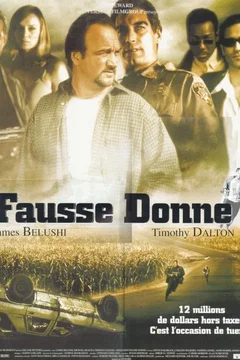 Affiche du film Fausse donne