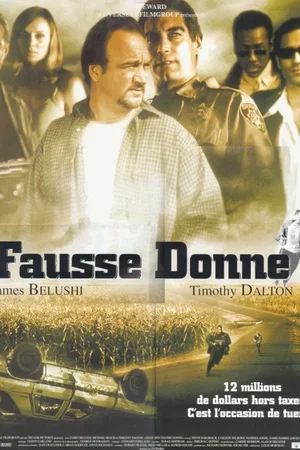 Affiche du film : Fausse donne