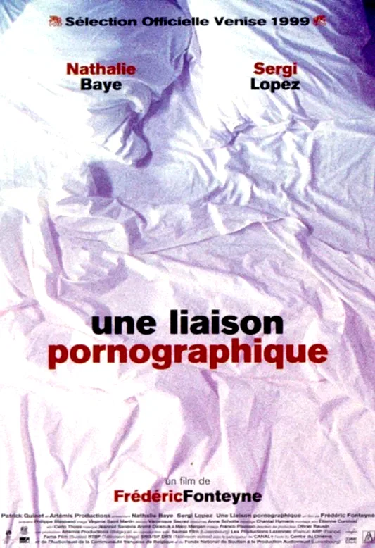 Affiche du film : Une liaison pornographique