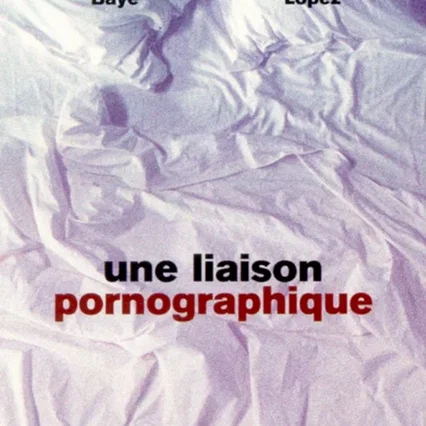 Miniature photo du film : Une liaison pornographique