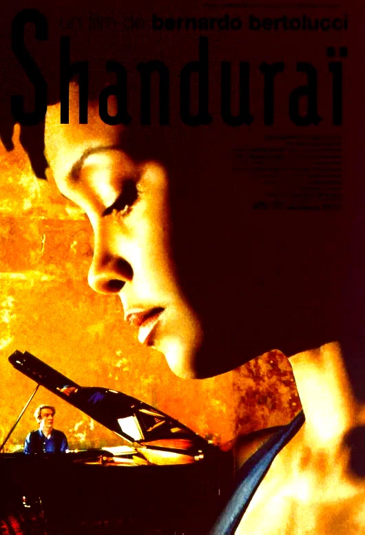 Affiche du film : Shandurai