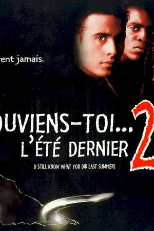 Affiche du film : Souviens-toi... l'été dernier 2