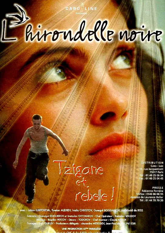 Affiche du film : L'hirondelle noire