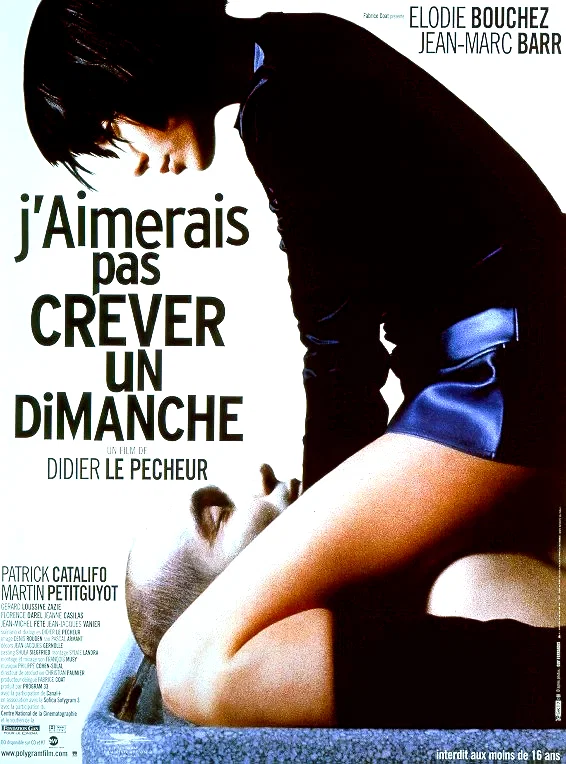 Affiche du film : J'aimerais pas crever un dimanche
