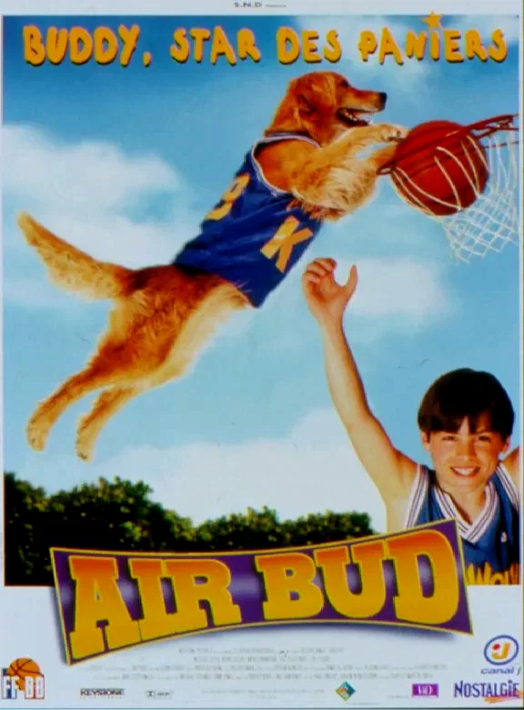 Affiche du film : Buddy, star des paniers