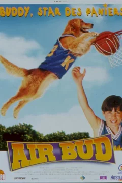 Affiche du film Buddy, star des paniers